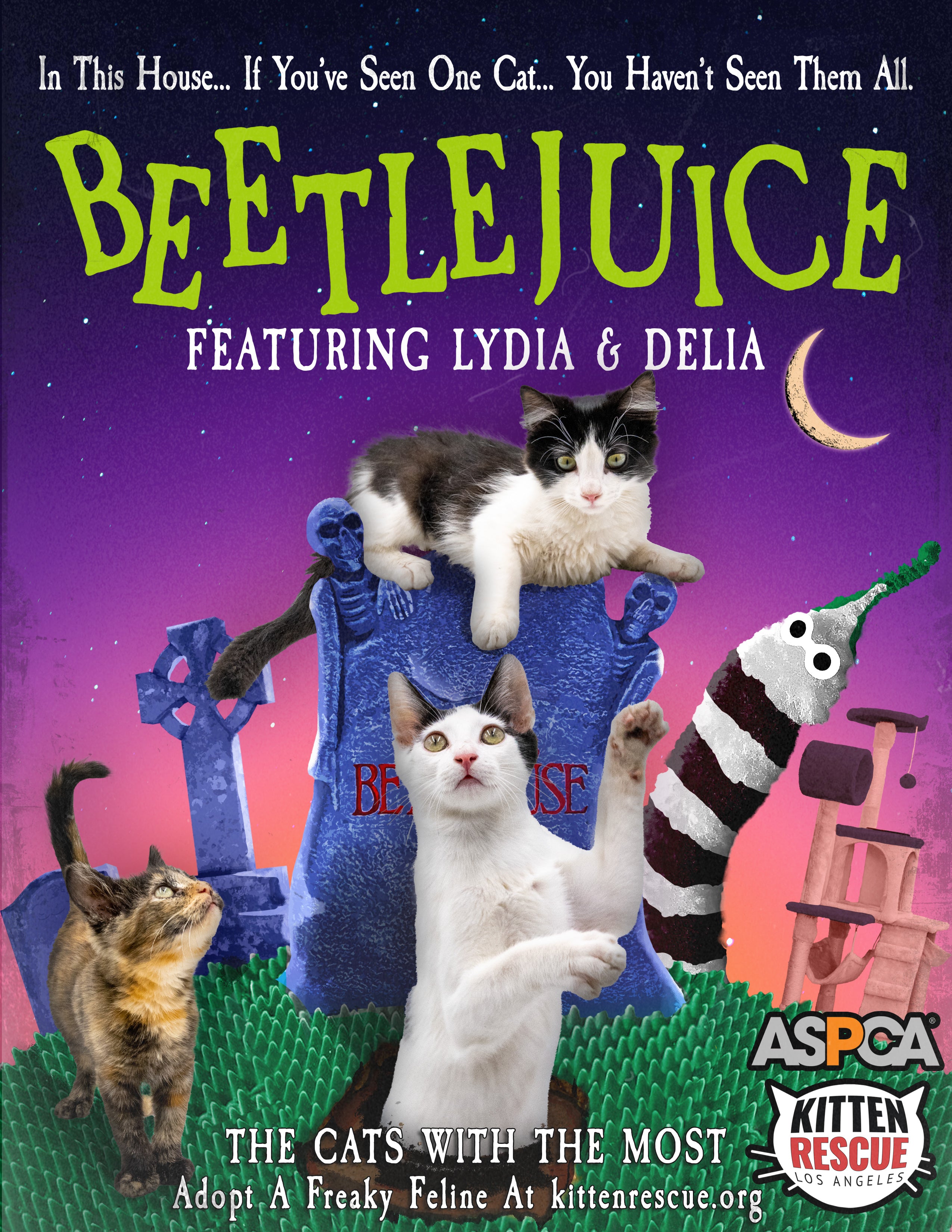 Promotional poster for 'Beetlejuice' featuring cats with text about adoption and ASPCA Kitten Rescue.