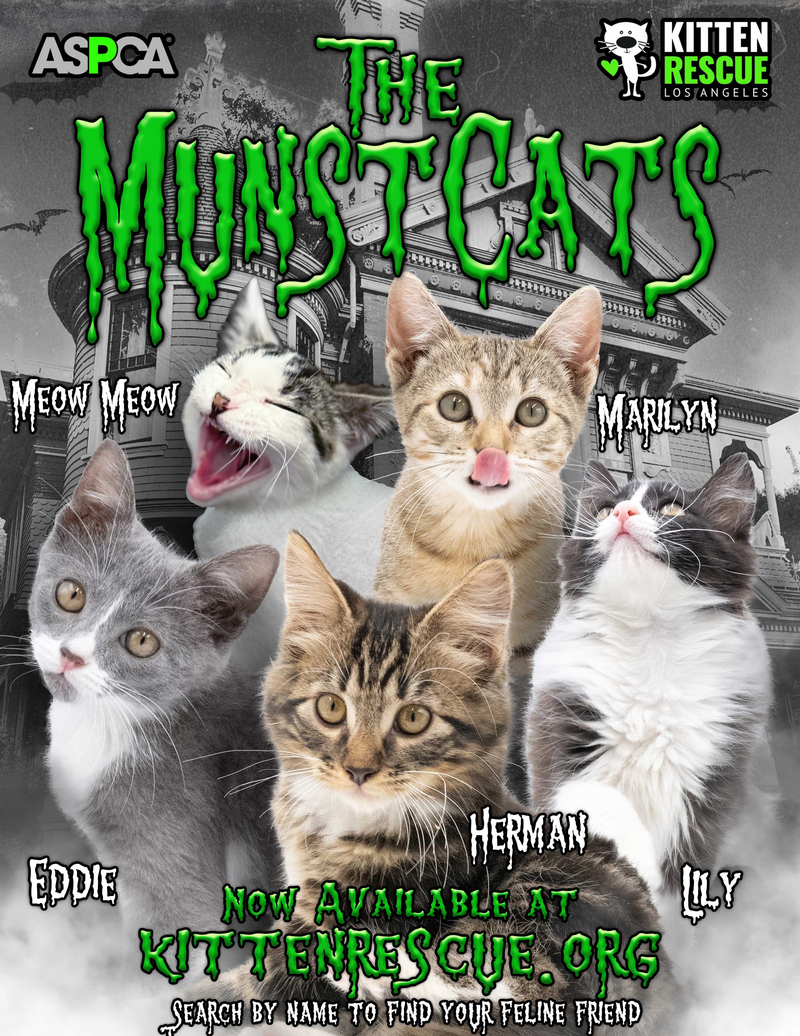 Promotional poster for 'The MunstCats' kittens with ASPCA and Kitten Rescue logos.