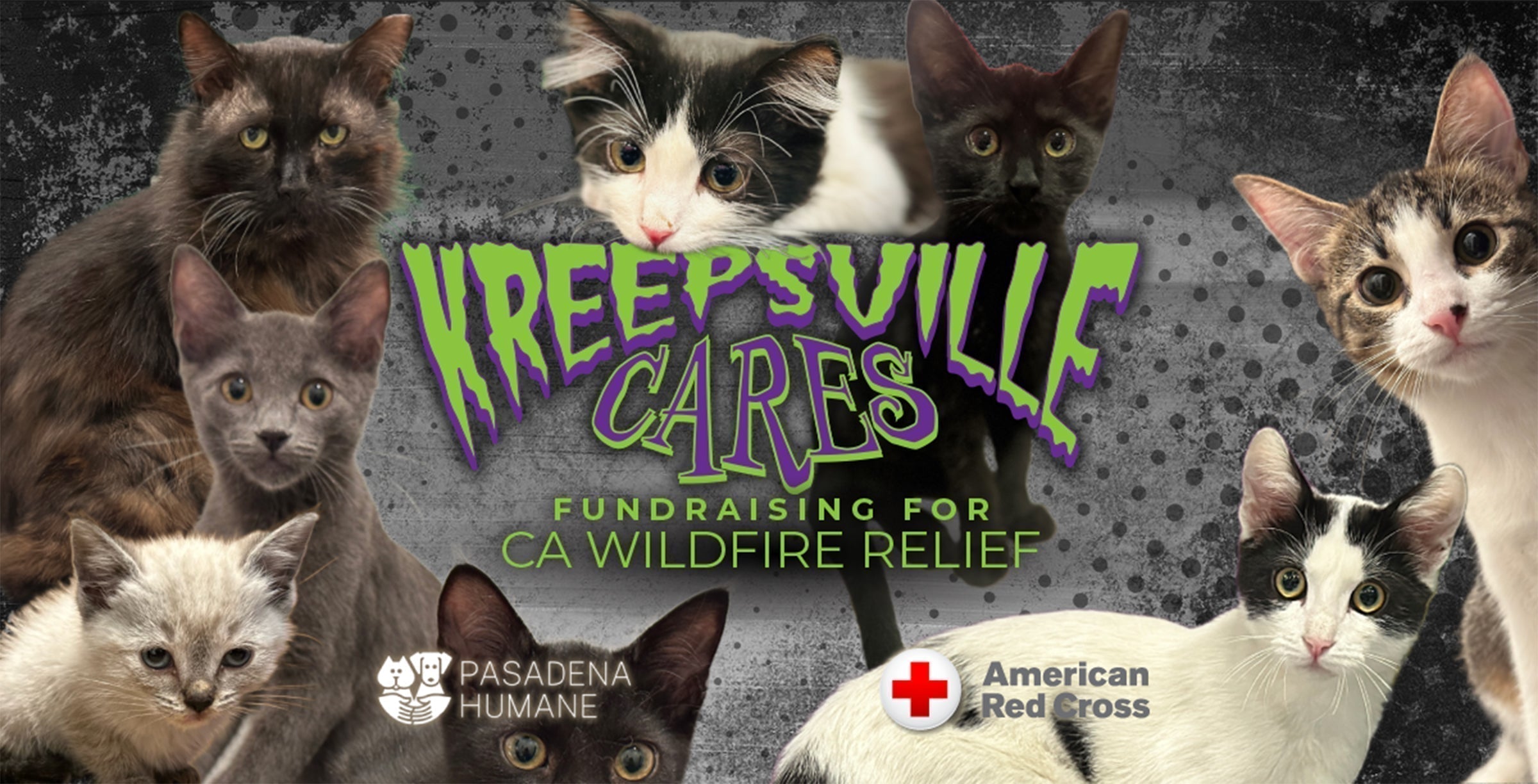 Kreepsville Cares: Fundraiser Banner