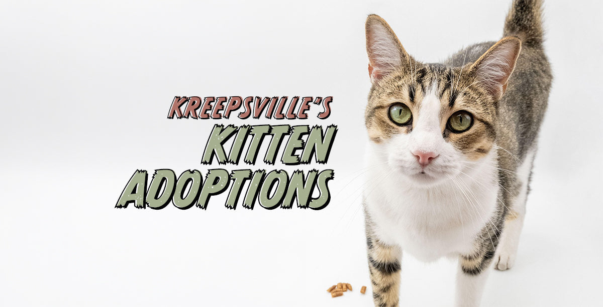 Kreepsville's Kitten Adoptions Banner with White and Tan Tabby on White Background