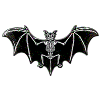 Thumbnail for Skelli Bat Glow Enamel Pin