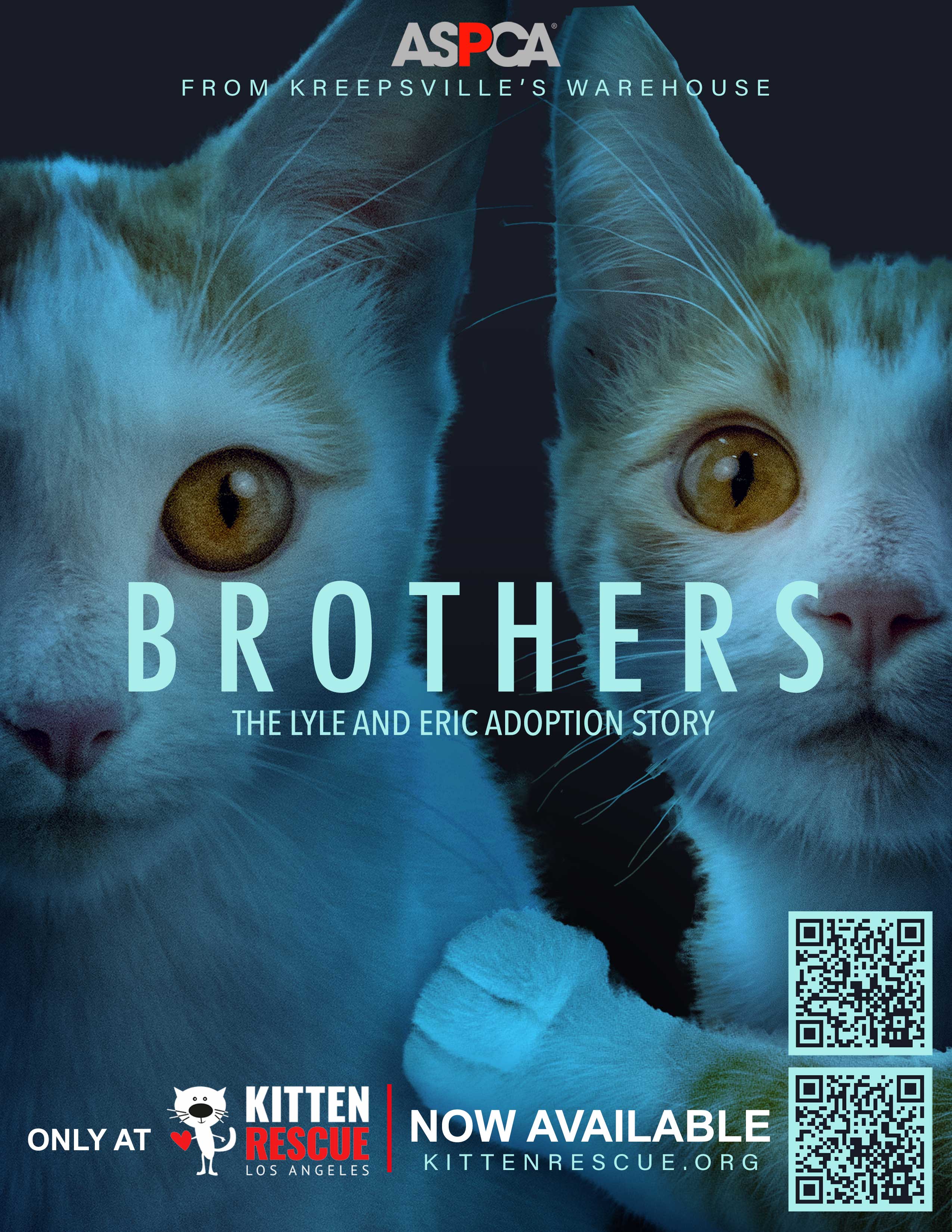 Two cats with the text 'Brothers' and adoption information on a dark background.